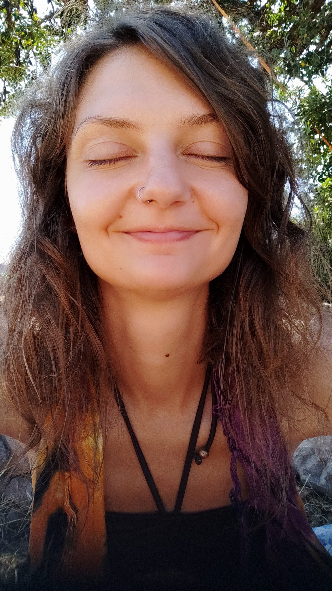 Elisa